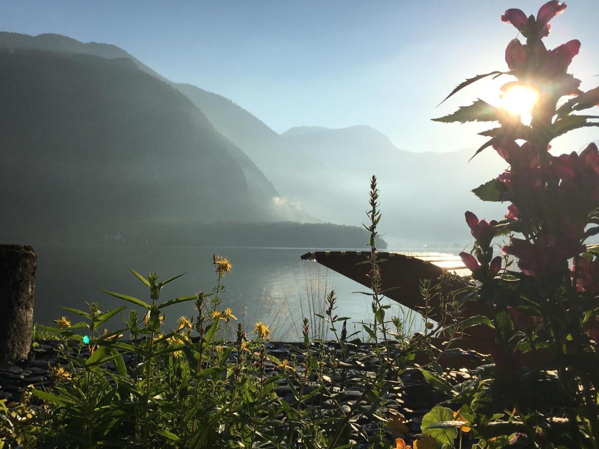Glück am See - Apartment mit Seezugang Hallstatt Exterior foto